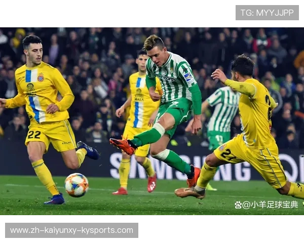 意甲球队与西甲球队的对比分析：战术、风格与球员特点