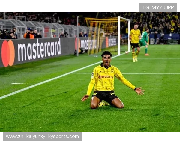 黄黑军团的欧冠征程 揭开多特蒙德辉煌与挑战的传奇篇章